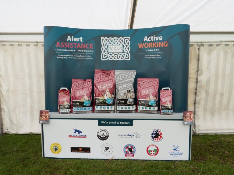 Dogs Food Display 768x576