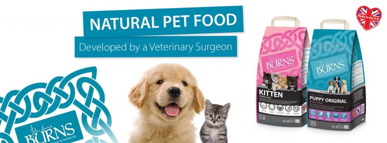 Image Asset 2 8 768x284