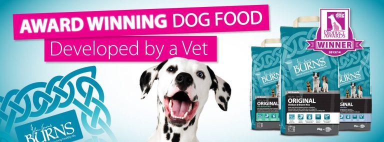 Image Asset 3 8 768x284