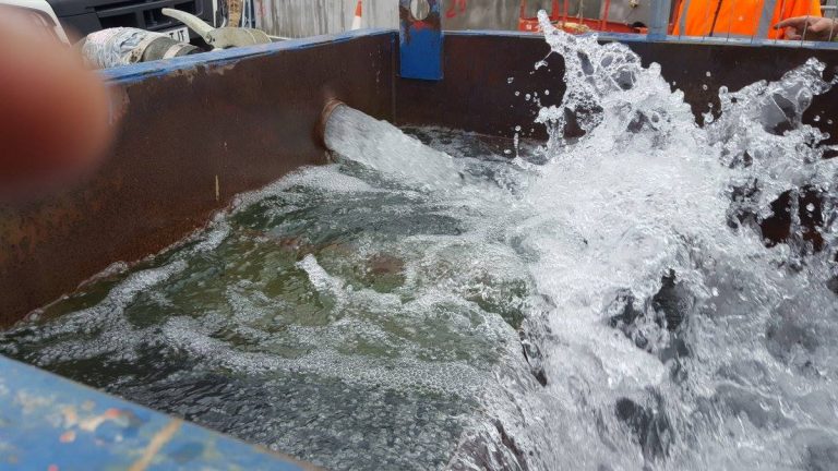 29793594 558744851173727 6758278881620262912 n 768x432