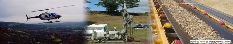 02 wmml services 768x146