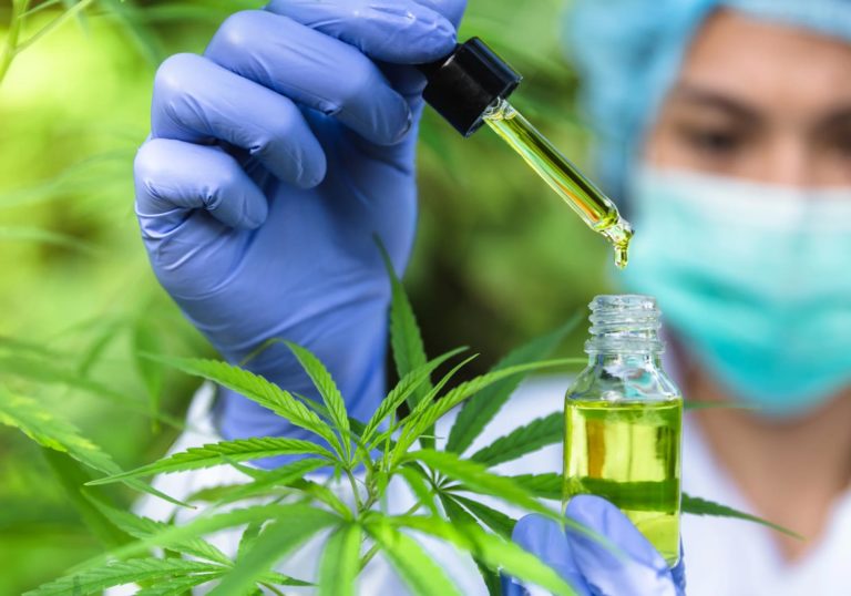 CBD Testing Concept 768x538