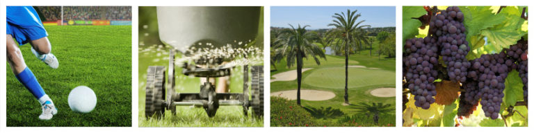 Image Asset 1 4 768x192