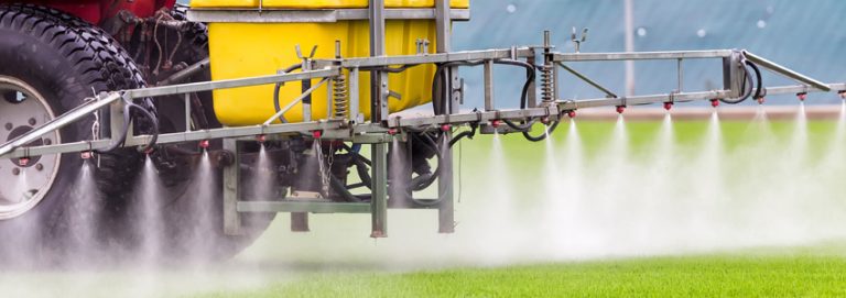 Image Asset 2 2 768x271