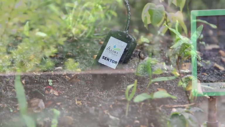 Image Asset 4 768x432