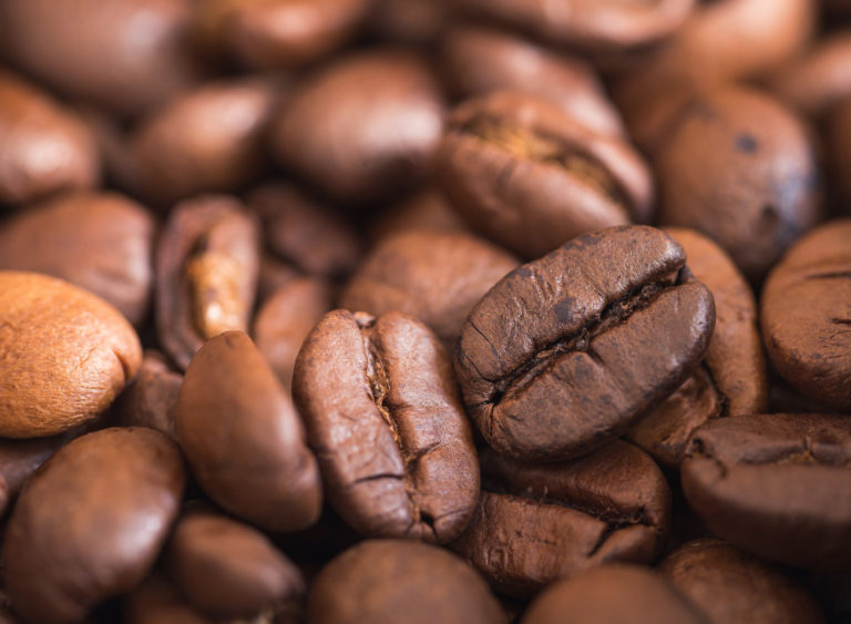 282221949 5187022691350951 8002442503003890545 n 768x563