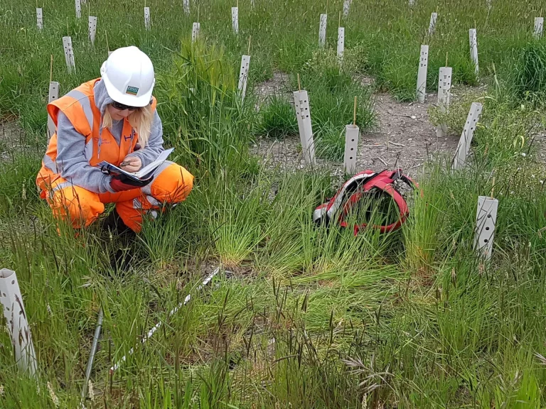 photo28 1920w 768x576