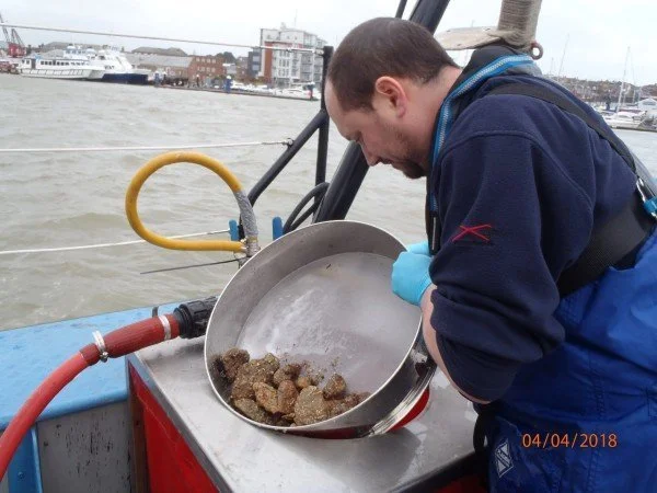 Benthic fauna sample processing 600