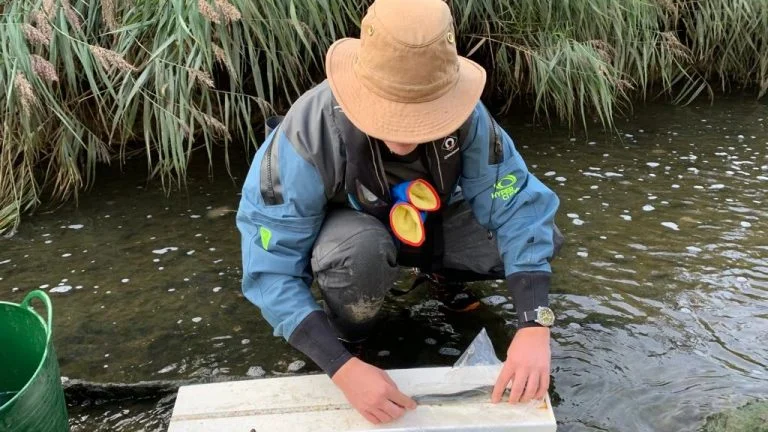 Robins Creek Featured Image 1 768x432 1