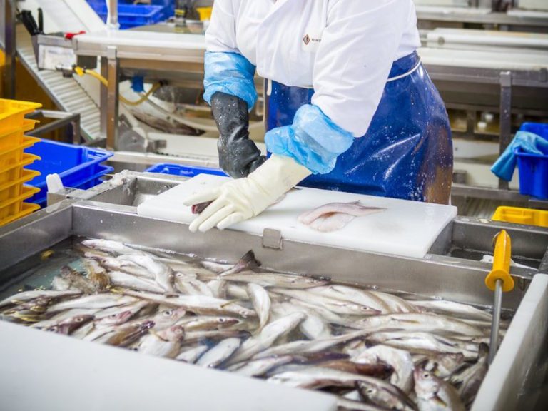 Seafood Scotland 1 768x576